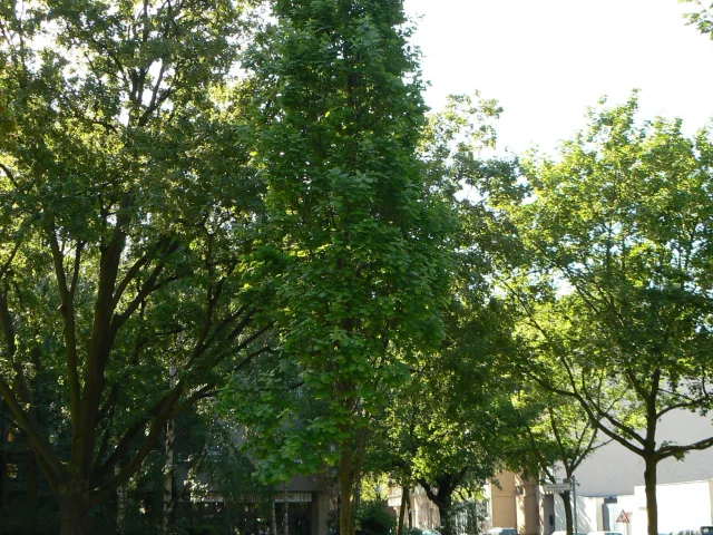 Esperantoplatz (Berlin)