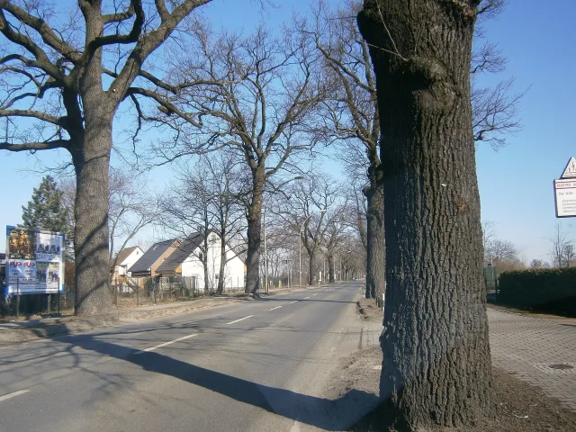 Schönerlinder Straße (Berlin-Pankow)