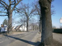 Schönerlinder Straße (Berlin-Pankow)