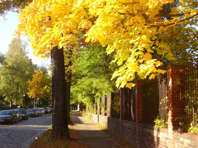 Viktoriastraße (Lichterfelde)